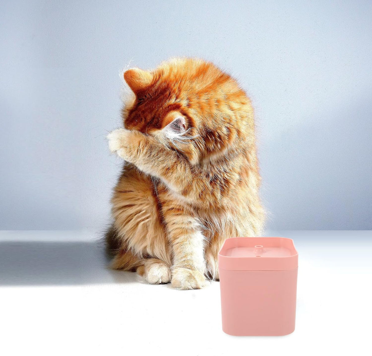 Automatic Cat Water Fountain Low Power Consumption Portable Design Pink Plastic Flower Shape Water Outlet for Kitten and Cat Drinking Modern Elegant Appearance