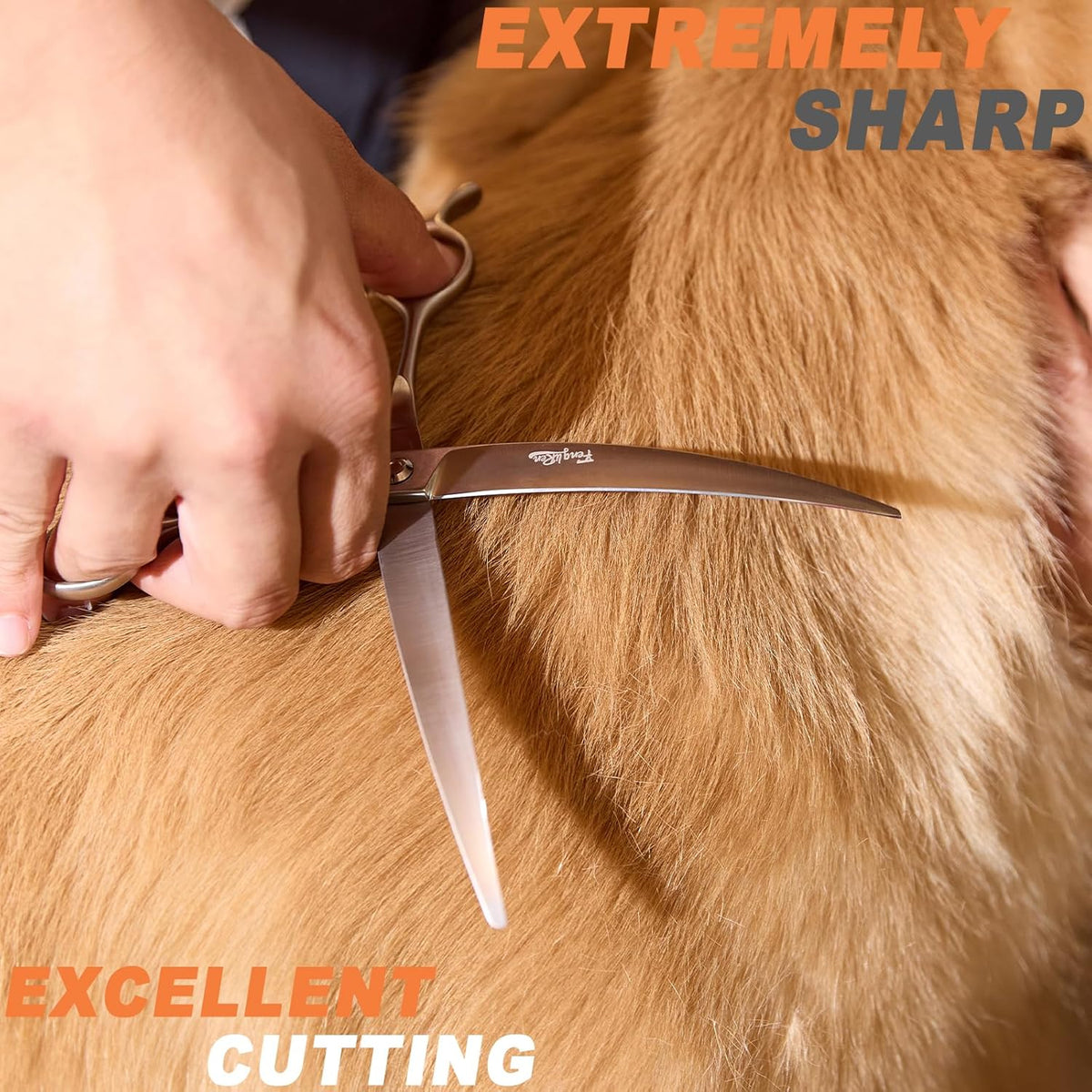 High-end Professional Dog Grooming Curved Scissors Pet Curved Shears 8 Inches Extremely Very Sharp Made Of Stainless Steel Alloy By Hand For Dog Cat Groomer