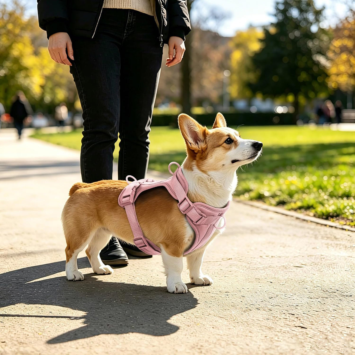 Wisedog Lightweight No Pull Dog Harness, Gossamer Pink, Small