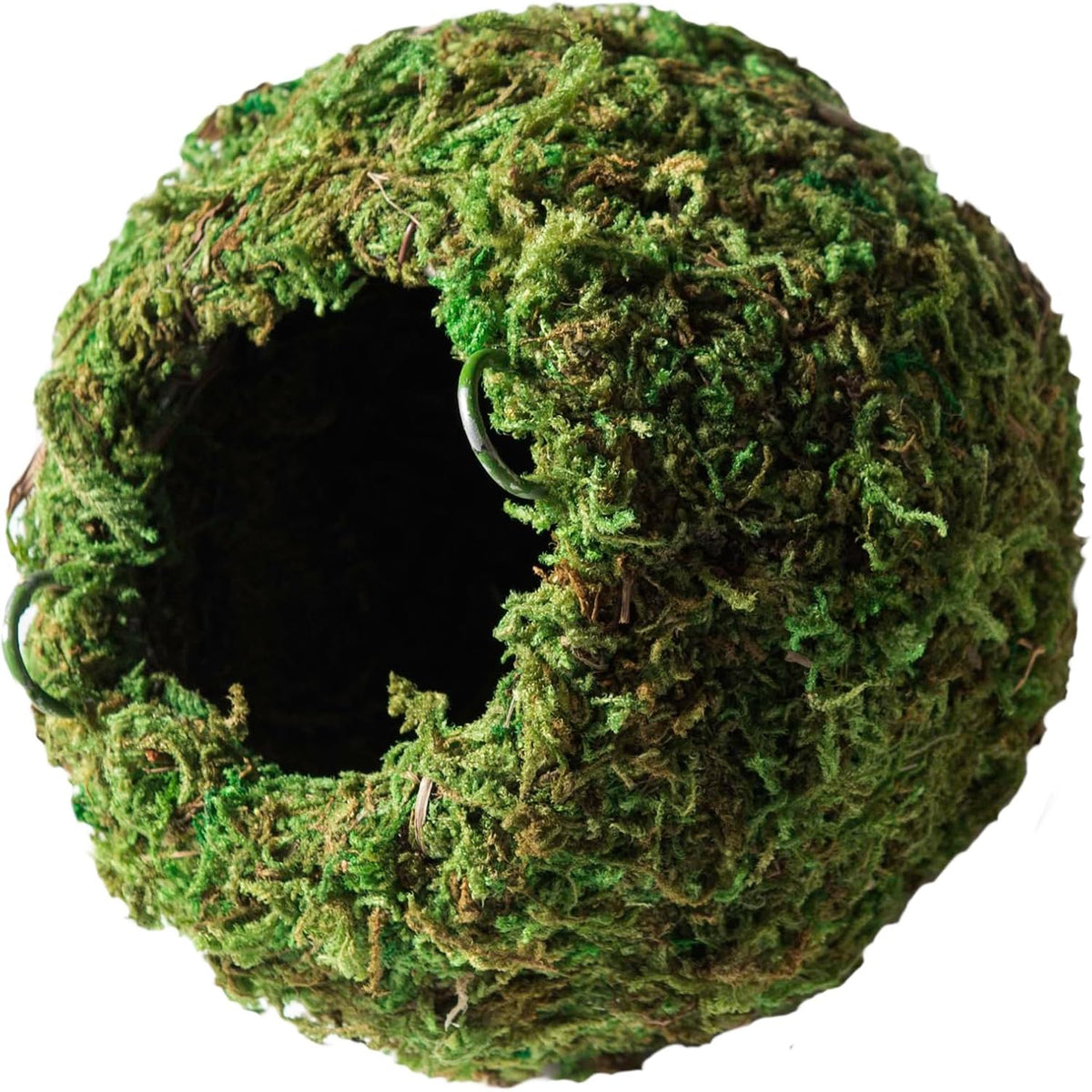 Galápagos (05346) Mossy Cave Hide, 4", Green
