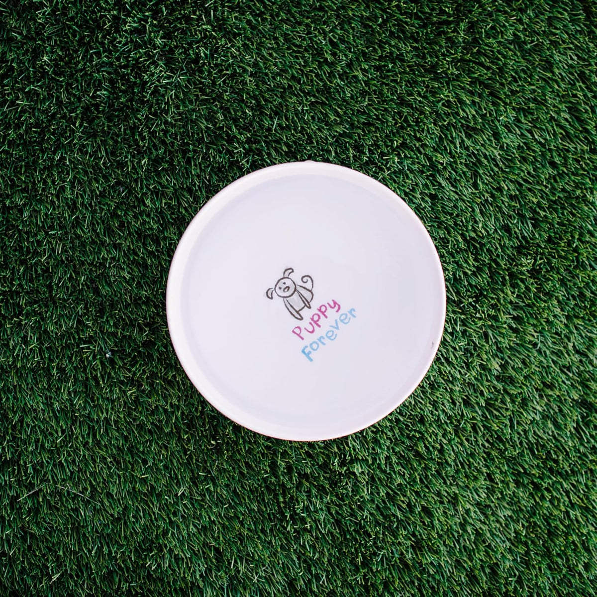 Loving Pets Dolce Moderno Dog Bowl – Modern Melamine Dog Food Bowl & Dog Water Bowl – Durable, Non-Slip Pet Dish for Small & Medium Dogs – Dishwasher Safe Dog Bowl (Small, 16 oz)