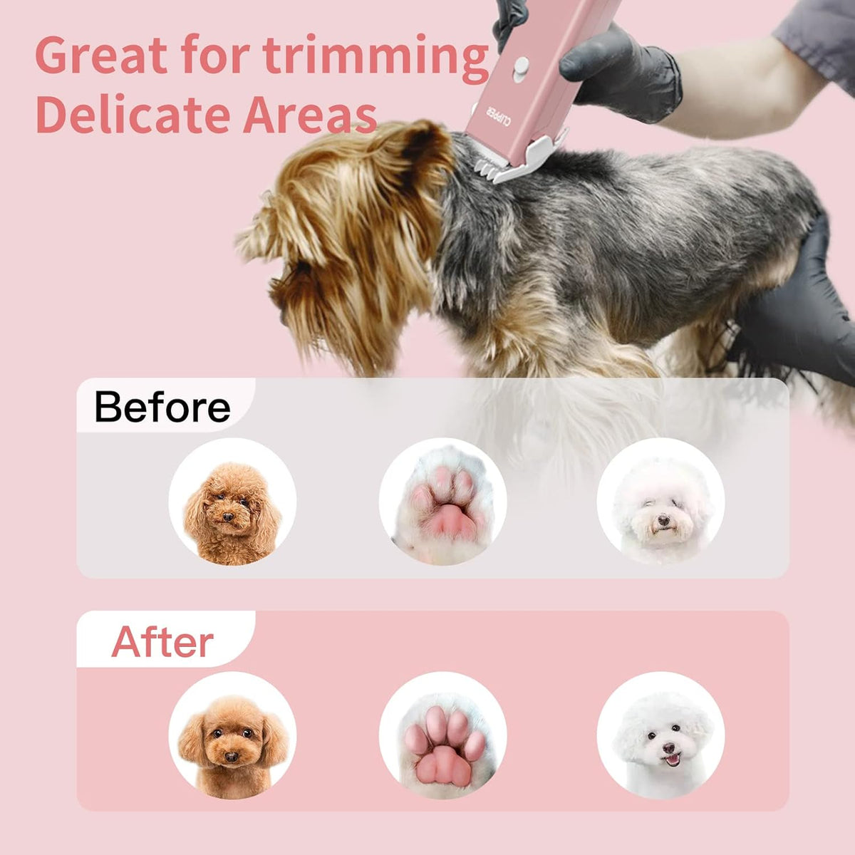 Home Professional Dog Grooming Kit Clipper Low Noise USB Rechargeable for Dog Cat