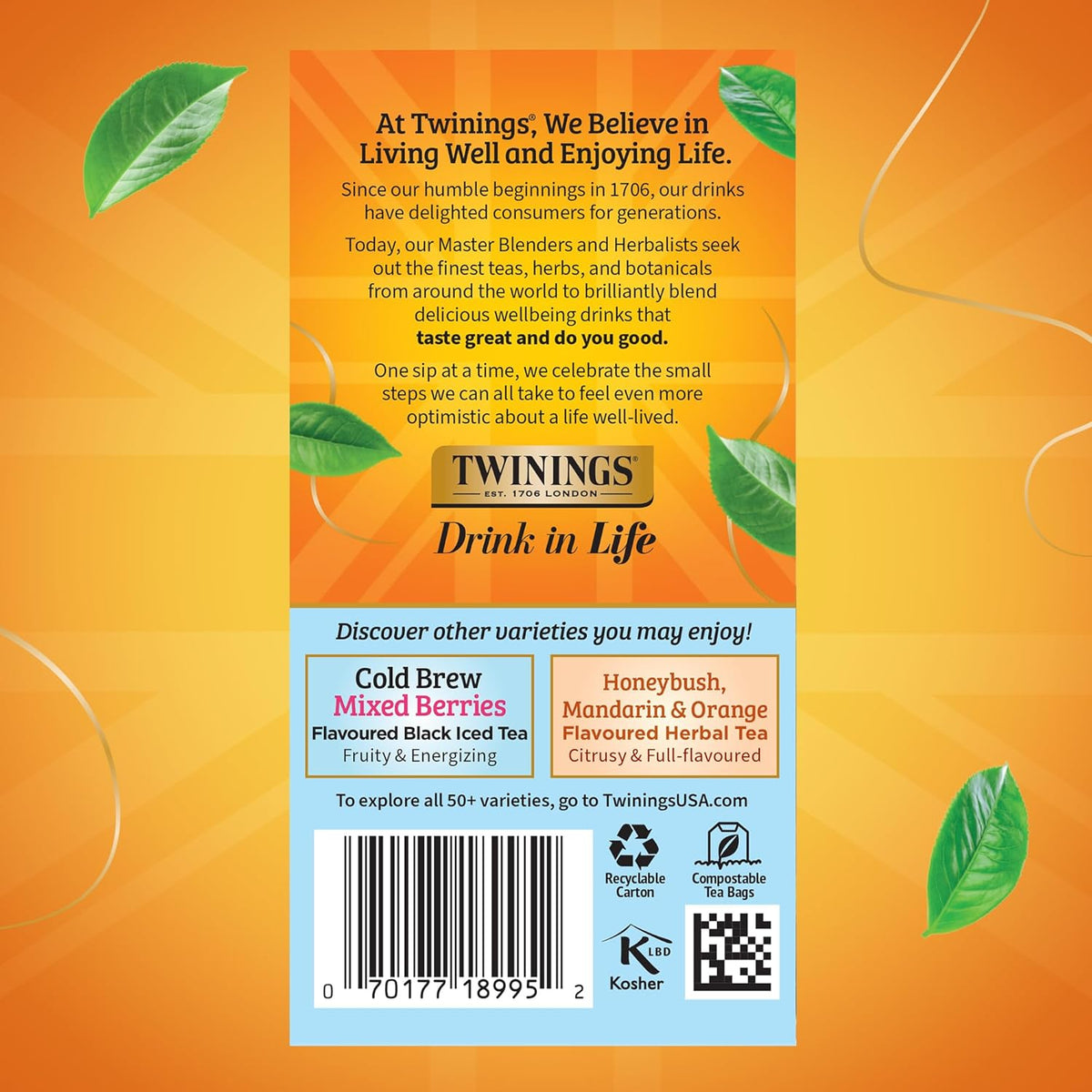 Peach Cold Brew Iced Tea Bags, 20 Count (Pack of 6), Unsweetened Flavoured Black Tea, Caffeinated, 120 Teabags
