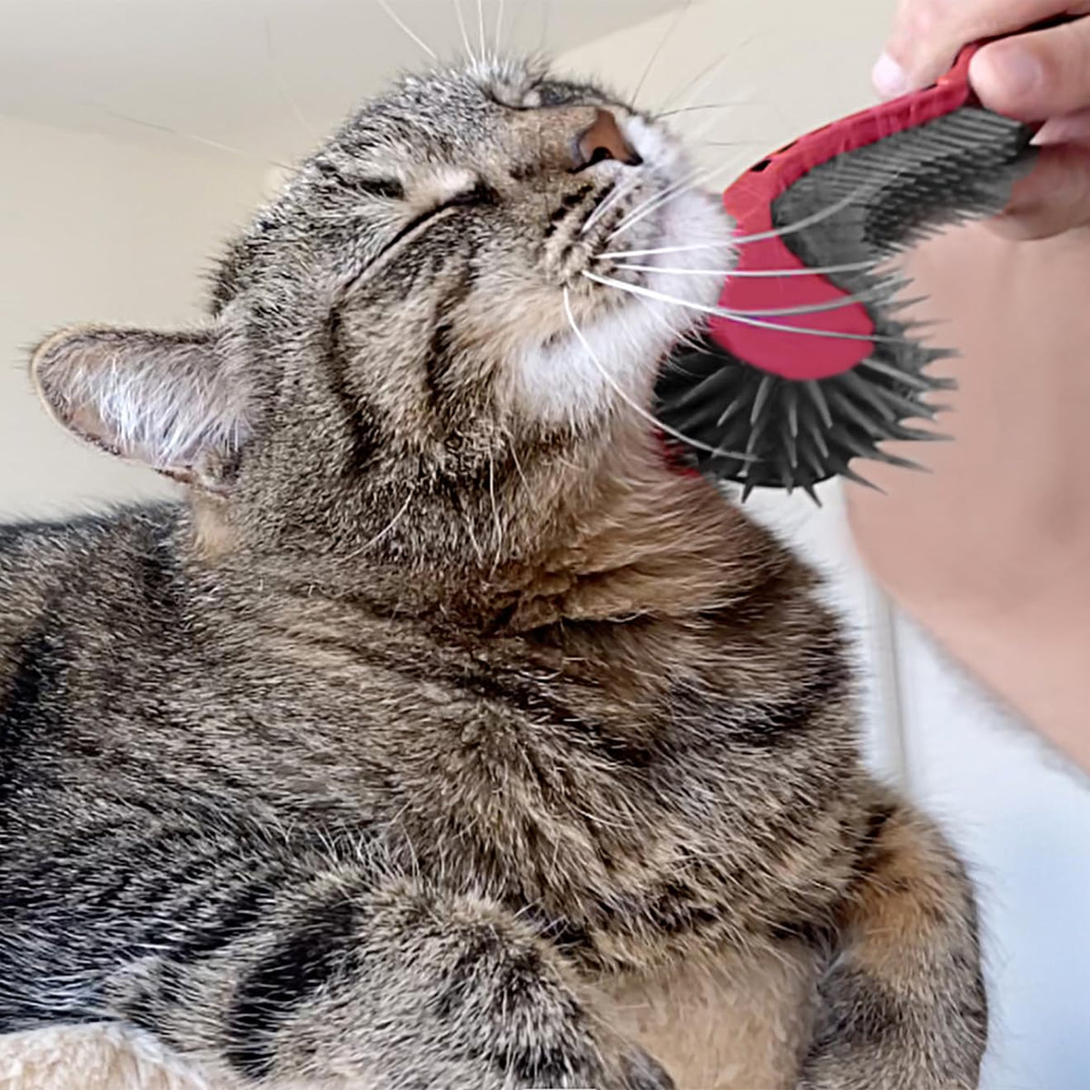 Cat Brush, Pink. Designed for Comfort, Created for Cats and Dogs. Ergonomic shape promotes stress free grooming. Great for long to short haired cats. Made in the USA