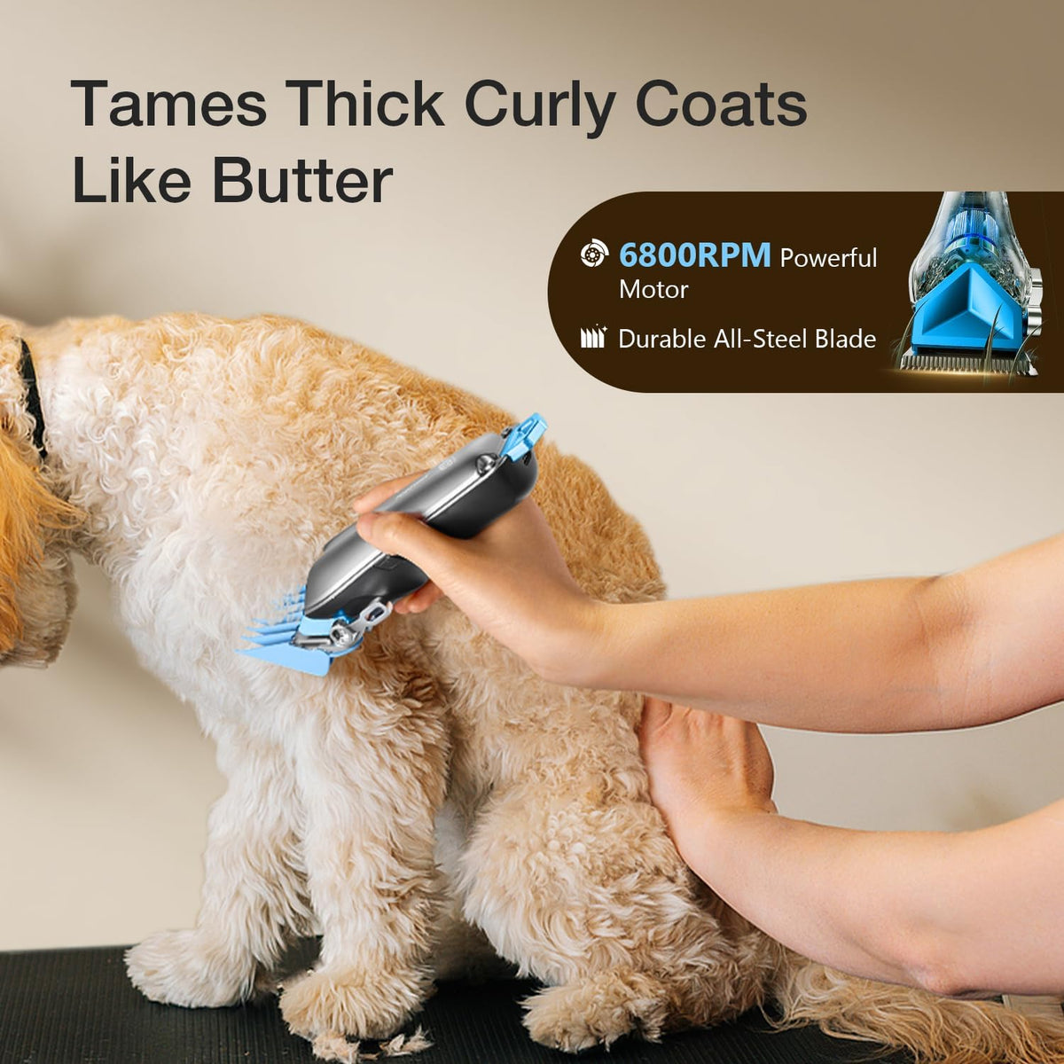 Dog Clippers for Grooming with Detachable Blade for Thick Coats, Cordless Rechargeable Low Noise Professional Pet Grooming Hair Trimmer Shaver Kit with 8 Guide Combs for Dogs Cats Animals