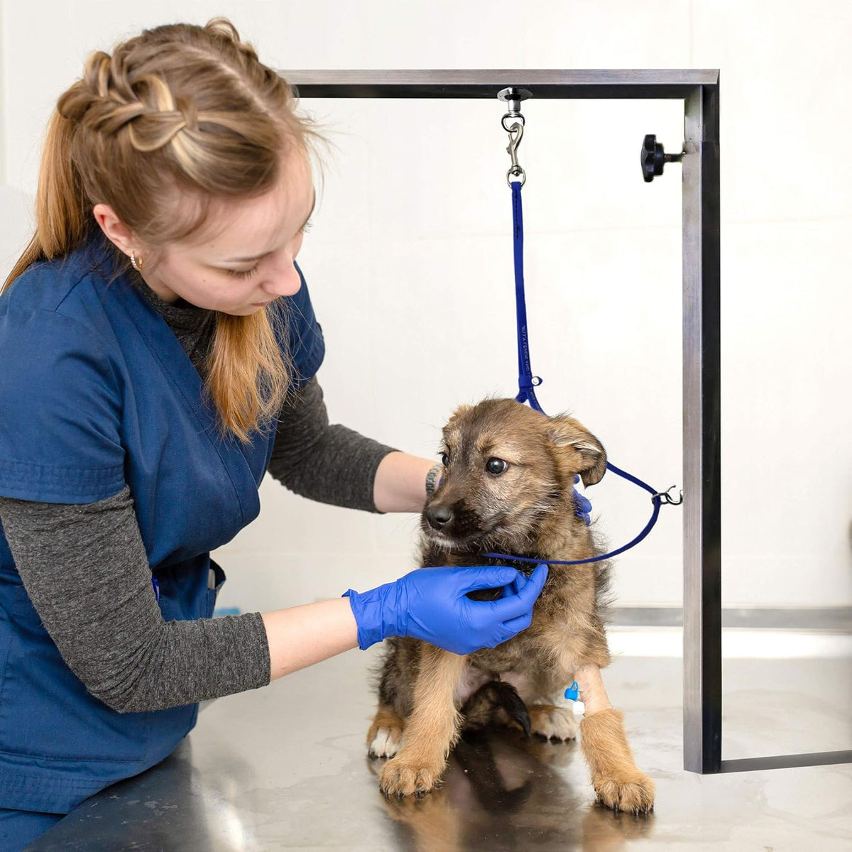 Jelly Pet Grooming Loop for Dogs, Groomers Helper, BioThane Material is Easy to Clean, Waterproof & Durable Noose Loop, Fits Most Pet Grooming Tubs/Tables/ 3/8” x 24” W/Ring Hot Pink