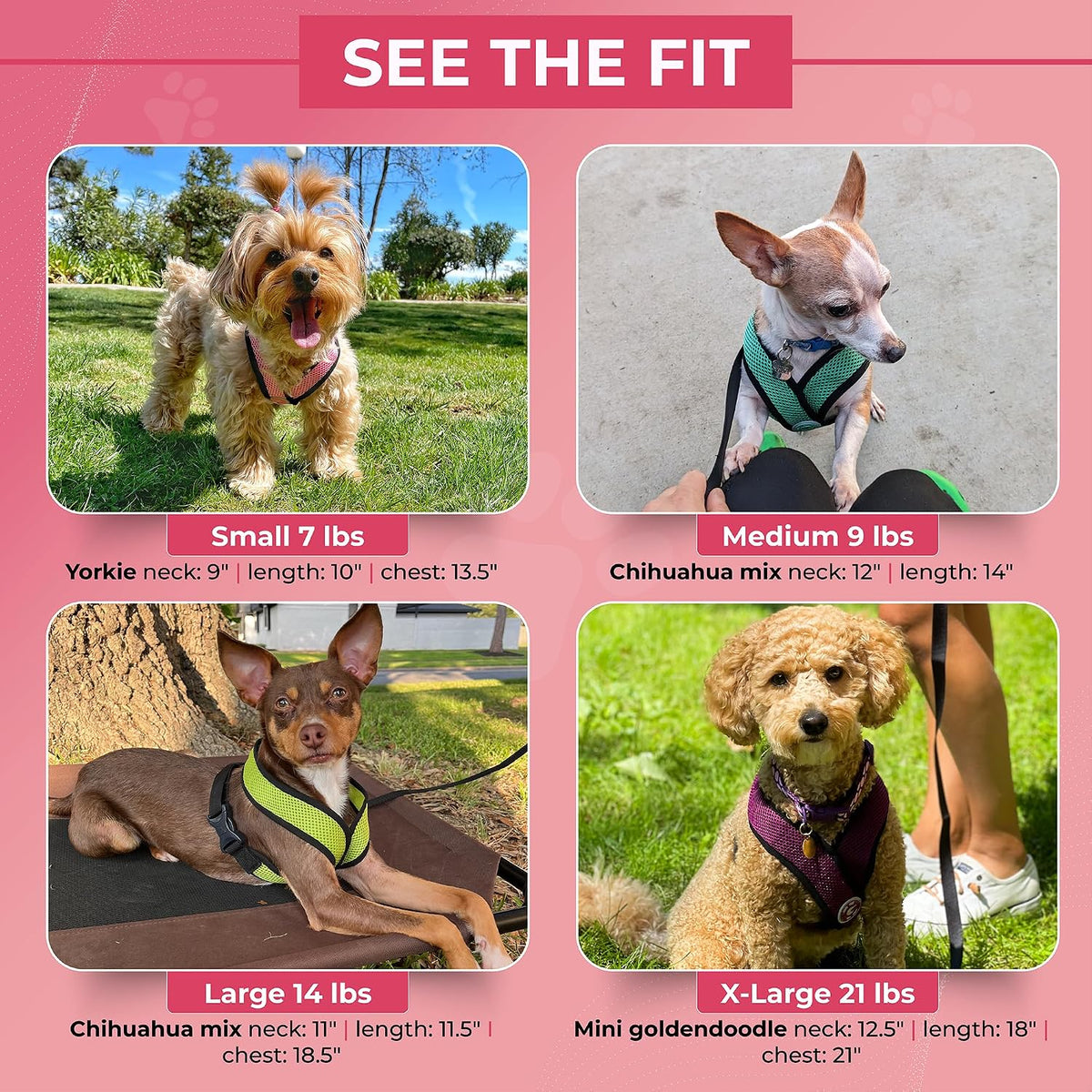 Comfort X Head-in Dog Harness, Choke-Free, Pink, Medium