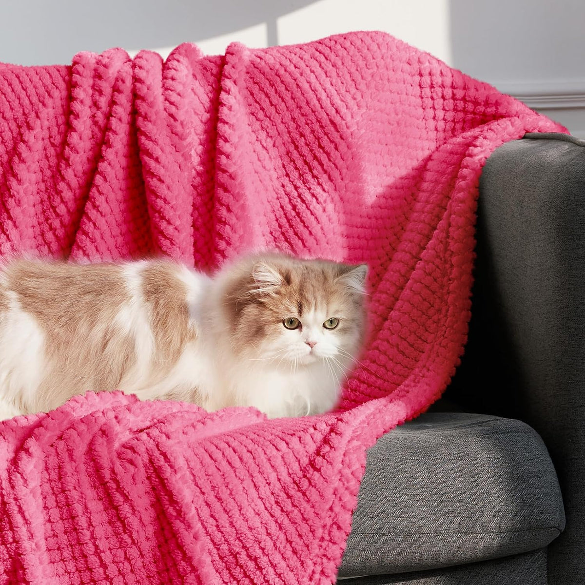 Whale Flotilla Extra Large Fuzzy Fleece Throw Blanket for Couch, 50x70 Inch Fluffy Soft Jacquard Blankets for All Season, Lightweight and Cozy, Hot Pink