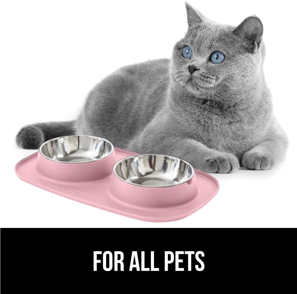 Dog Bowl Set with Feeding Mat, 304 Stainless Steel, 2 Cup Pink
