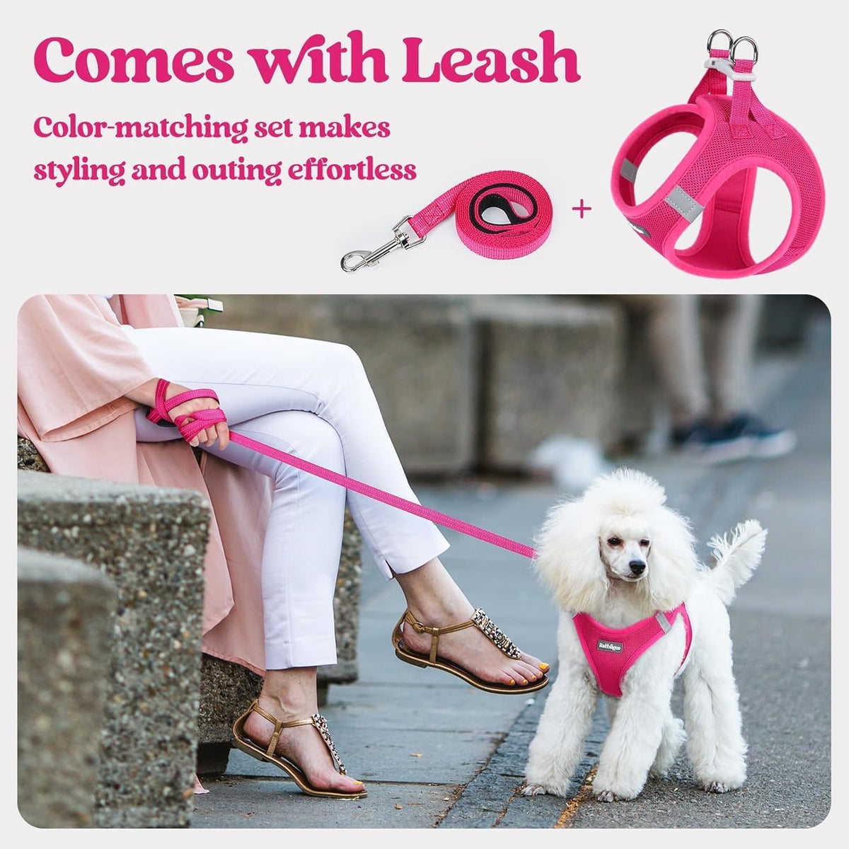 rabbitgoo Dog Harness Small Sized and Leash Set, Step in Soft Light Puppy Vest, Breathable Mesh Pet Harness, Reflective for Safe Easy Walking, Rose Red S