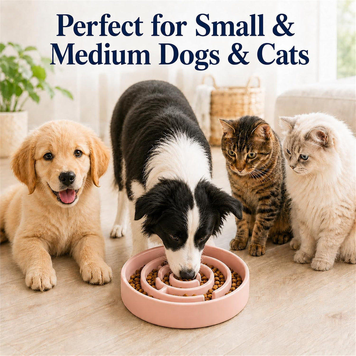 Ceramic Slow Feeder Dog Bowl 1.5 Cup Puzzle Dish for Small Medium Dogs