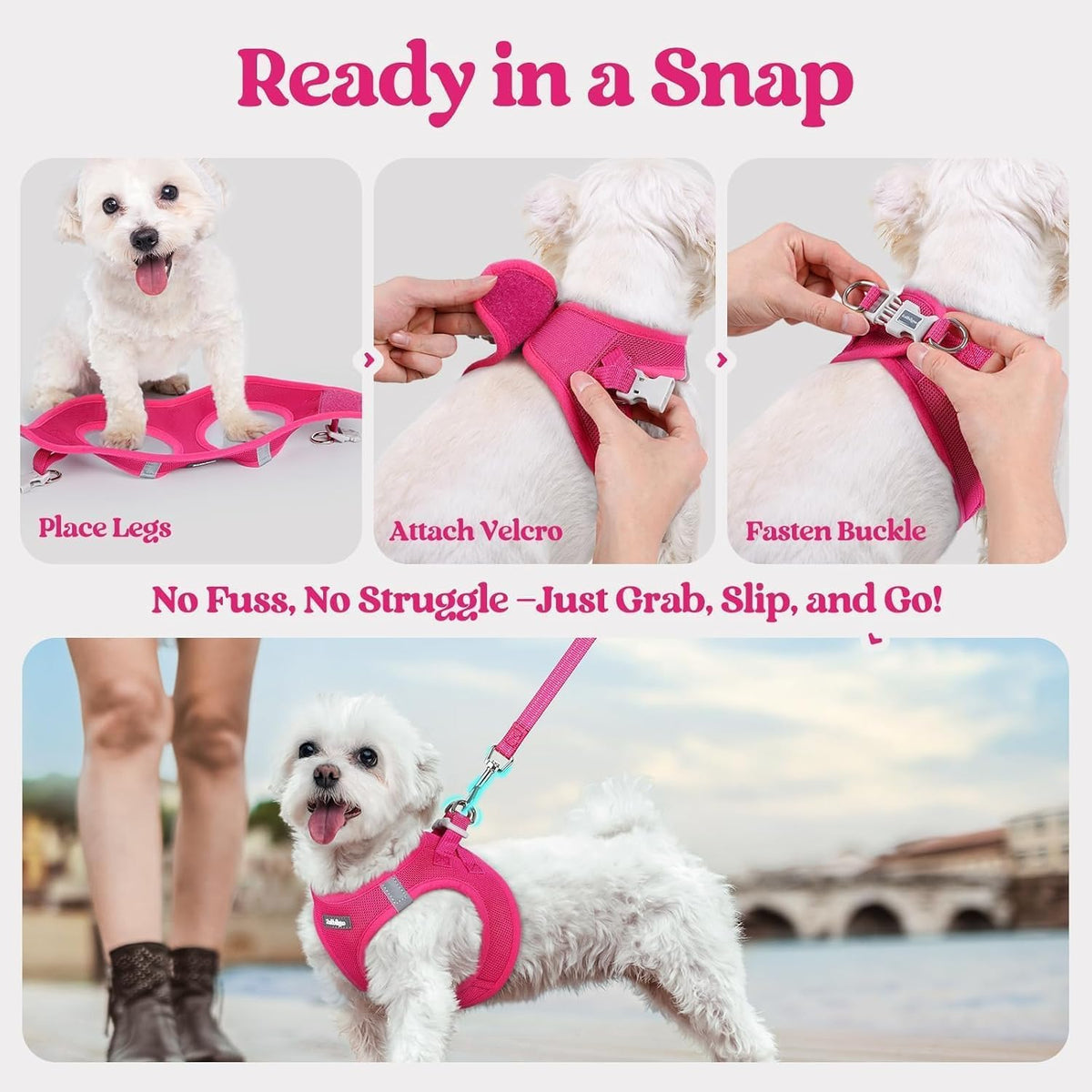 rabbitgoo Dog Harness Small Sized and Leash Set, Step in Soft Light Puppy Vest, Breathable Mesh Pet Harness, Reflective for Safe Easy Walking, Rose Red XS