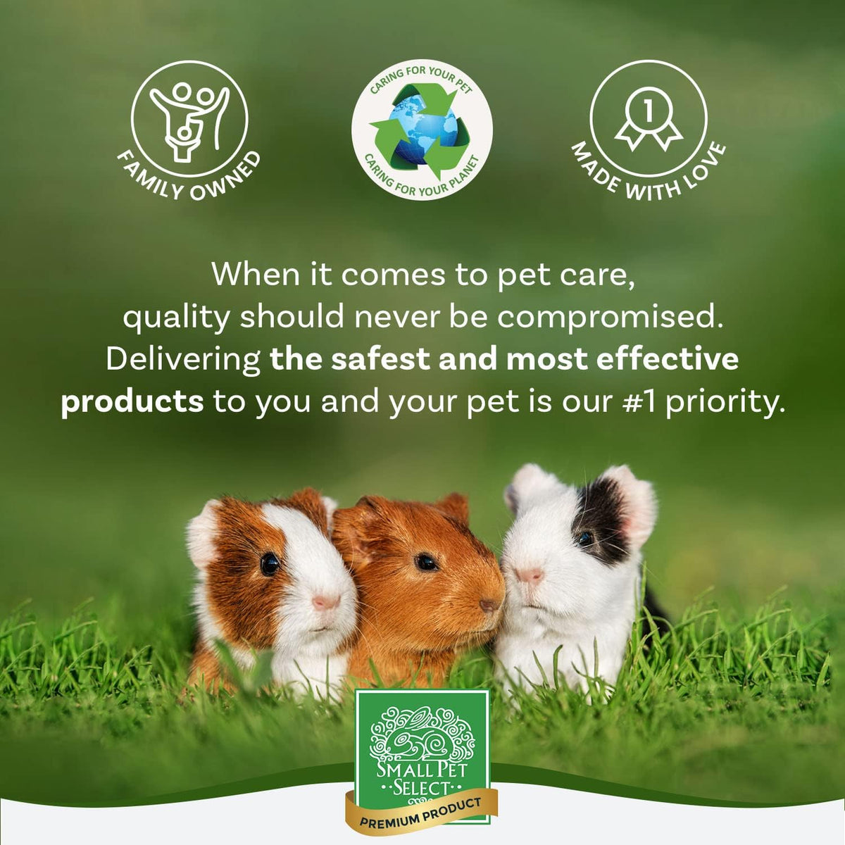 Small Pet Select Premium Natural Aspen Bedding, Animal Bedding for Small Indoor and Outdoor Pets, Made in The USA, Jumbo Size 282 L (2 Pack, 141 L Each)