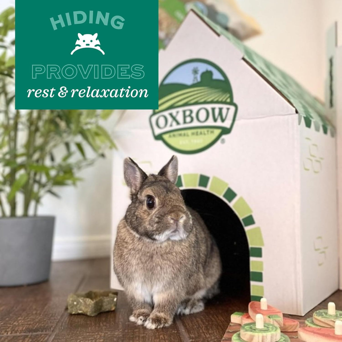 Oxbow Timothy Hay Bungalow, Rabbit & Guinea Pig Hideout, Edible & Hand-Woven Bunny House, No Wires or String, Small Pet Accessories, for Rabbits, Guinea Pigs, Chinchillas & Rats, Large