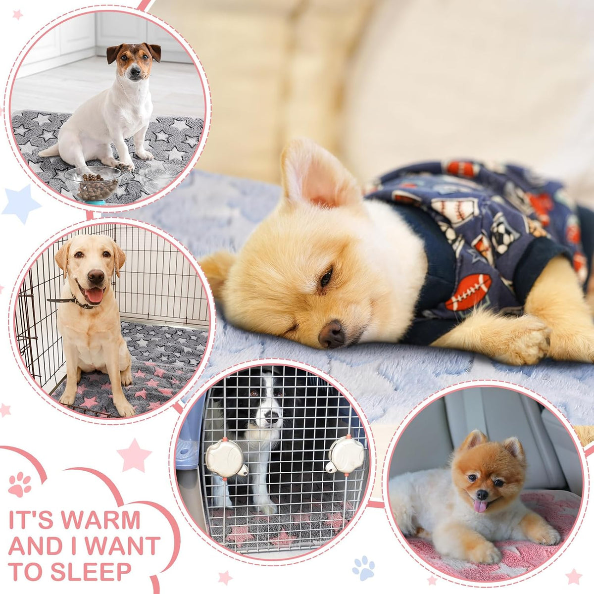 Reginary 4 Pcs Waterproof Guinea Pig Blankets Washable Small Animal Fleece Bedding Absorbent Guinea Pig Cage Liners Reusable Training Pee Pad Pet Sleep Mat for Hamster(Cute Star Pattern,12 x 12 Inch)