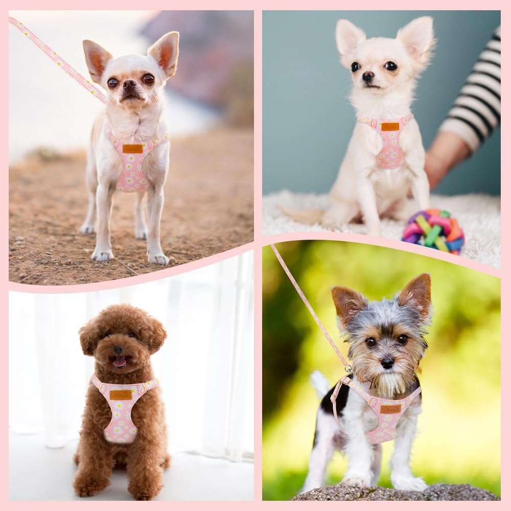 Lukovee No Pull Puppy Harness and Leash Set - Adjustable Lightweight Soft Suede Pet Harness Vest, with Snap Buckle & 51in Leash for Small Medium Dogs (Pink-XXS)