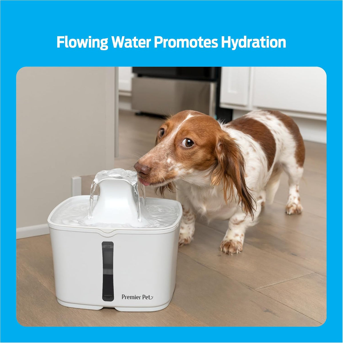 Premier Pet 60 oz. Pet Fountain Automatic Water Fountain for Dogs & Cats