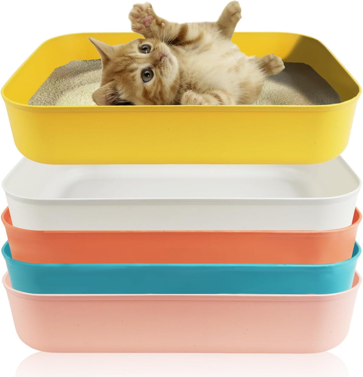 5PCS Small Litter Box, Plastic Kitten Litter Box, 13.9 x 9.8 x 3 Inch Open Litter Box for Small Pet, Easy to Clean (5 Color)