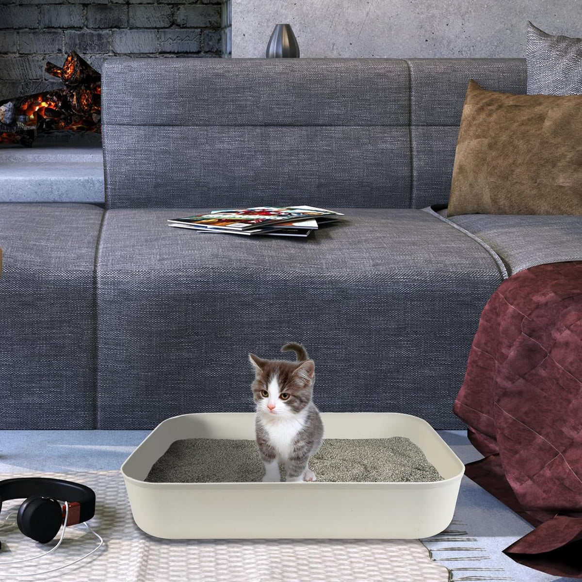5PCS Small Litter Box, Plastic Kitten Litter Box, 13.9 x 9.8 x 3 Inch Open Litter Box for Small Pet, Easy to Clean (5 Color)