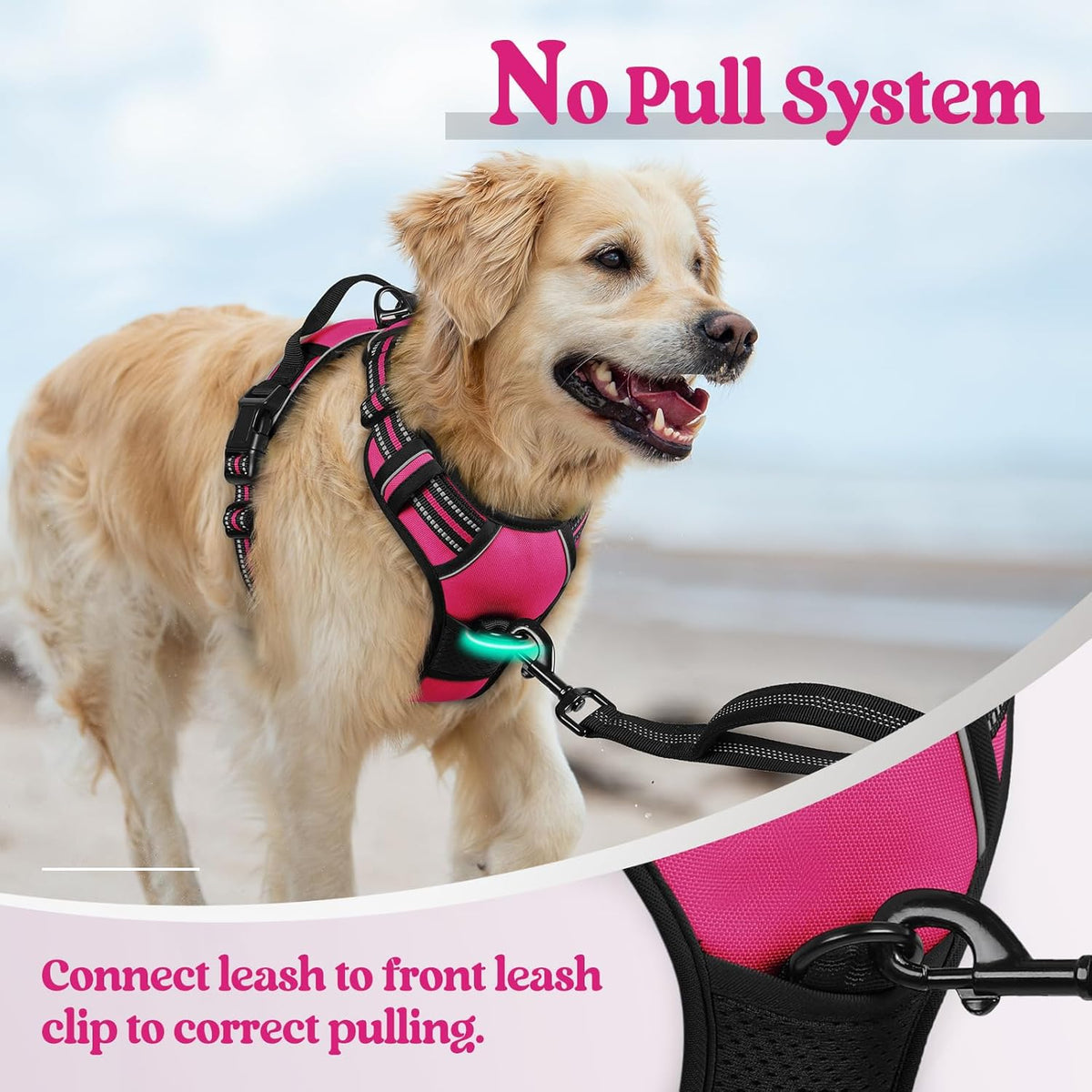 rabbitgoo Dog Harness No Pull with 2 Leash Clips, Adjustable Soft Padded, Reflective Oxford No Choke Pet Vest with Easy Control Handle for Large Dogs, Hot Pink, XL