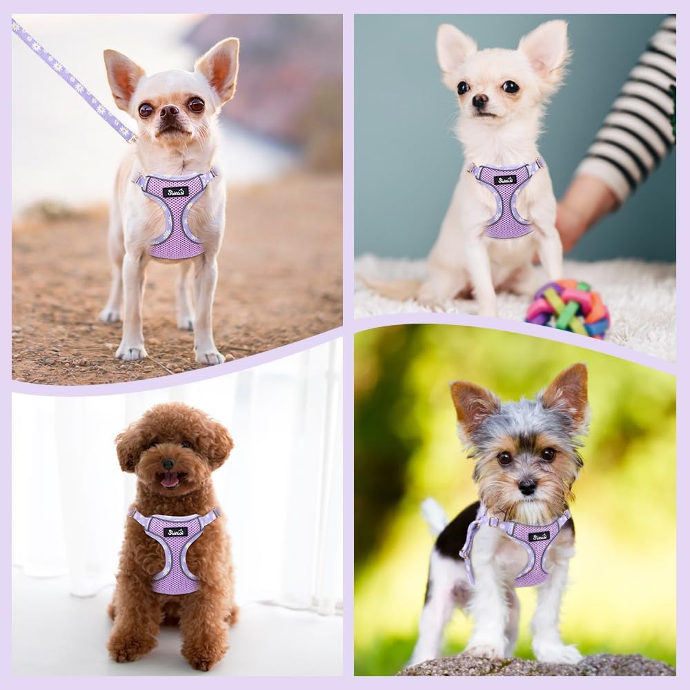 Lukovee No Pull Puppy Harness and Leash Set - Adjustable Lightweight Soft Dog Harness, Reflective Step in Breathable Mesh Vest with 51in Leash for Walking Hiking Small Medium Dogs (Pink, XXS)